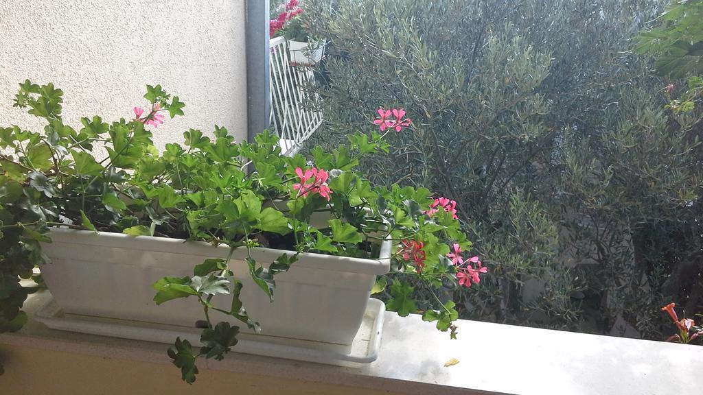 Anini Dvori Apartma